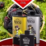 BANG 20000 DSK046 Wechselkartusche 20K – Produktansicht 2