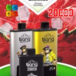 BANG 20000 DSK046 Wechselkartusche 20K – Produktansicht 9