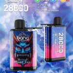 BANG 28000 Puffs DSK033 Vape – Produktansicht 5