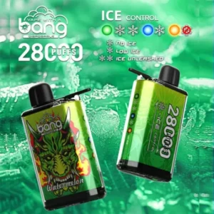 BANG 28000 Puffs DSK033 Einweg Vape Großhandel günstig kaufen