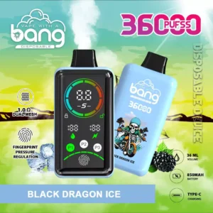 Bang 36000 Puffs DSK025 Einweg Vape Großhandel 36K Disposable