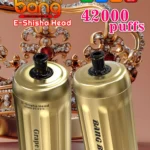 Bang Blaze E Shisha 42000 Züge DSK038 – Produktansicht 3