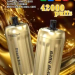 Bang Blaze E Shisha 42000 Züge DSK038 – Produktansicht 10