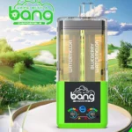 BANG 60000 2 in 1 nachfüllbar DSK037 – Produktansicht 10