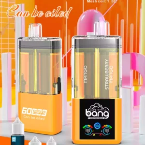 BANG 60000 Puffs 2 in 1 Einweg Vape nachfüllbar Großhandel DSK037