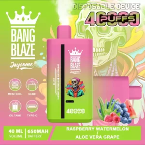 Bang Blaze 40000 Züge Dual Taste Einweg Vape DSK041 Großhandel