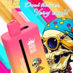 Bang Blaze 40000 Züge Dual Taste Einweg Vape DSK041 Großhandel – Produktansicht 6