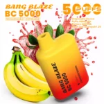 Bang Blaze BC 5000 Züge DSK062 Vape – Produktansicht 4
