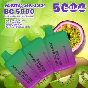 Bang Blaze BC 5000 Züge Einweg Vape DSK062 Großhandel günstig kaufen
