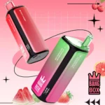 BANG BOX 160000 Puffs 4 in 1 Mesh Coil – Produktansicht 2