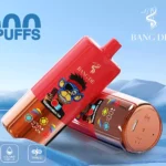 Bang DE 80K Einweg Vape 80000 Züge Dual Mesh Coil LED Ring Großhandel – Produktansicht 1