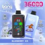 BANG DSK026 36000 mit Eiskühlung Europa – Produktansicht 9