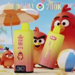 BANG KING 200K 200000 8in1 Quad DSK073 – Produktansicht 1