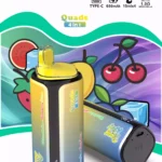BANG KING 250K 4in1 Mesh Coil DSK074 – Produktansicht 8