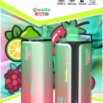 BANG KING 250K 4in1 Mesh Coil DSK074 – Produktansicht 6