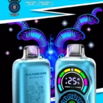 Bang King 36000 Züge DSK034 Vape – Produktansicht 13