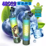 BANG KING 40000 Puffs DSK059 40K Vape – Produktansicht 10