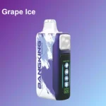 BANG KING 60000 Puffs Ice Cool Einweg Vape Großhandel DSK048 – Produktansicht 4
