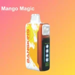 BANG KING 60000 Puffs Ice Cool Einweg Vape Großhandel DSK048 – Produktansicht 2