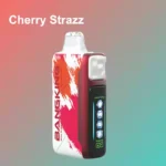 BANG KING 60000 Puffs Ice Cool Einweg Vape Großhandel DSK048 – Produktansicht 5