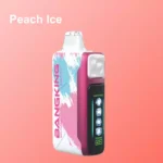 BANG KING 60000 Puffs Ice Cool Einweg Vape Großhandel DSK048 – Produktansicht 3