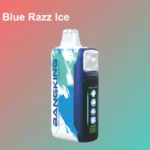 BANG KING 60000 Puffs Ice Cool Einweg Vape Großhandel DSK048 – Produktansicht 12