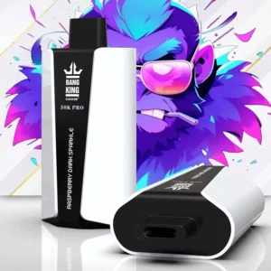 BANG KING PRO Einweg Vape 30000 Züge 36ml Großhandel Europa kaufen