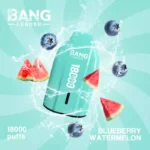 BANG LEADER 18K 18000 Mesh Coil Type C – Produktansicht 1