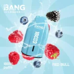 BANG LEADER 18K 18000 Mesh Coil Type C – Produktansicht 4
