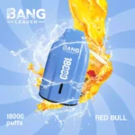 BANG LEADER 18K 18000 Mesh Coil Type C – Produktansicht 3
