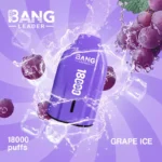 BANG LEADER 18K 18000 Mesh Coil Type C – Produktansicht 6
