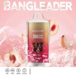 Bang Leader 20000 Züge Online Vape – Produktansicht 7
