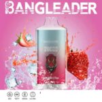 Bang Leader 20000 Züge Online Vape – Produktansicht 6