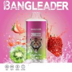 Bang Leader 20000 Züge Online Vape – Produktansicht 5