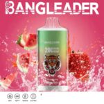 Bang Leader 20000 Züge Online Vape – Produktansicht 4