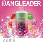 Bang Leader 20000 Züge Online Vape – Produktansicht 3