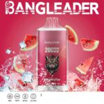 Bang Leader 20000 Züge Online Vape – Produktansicht 2