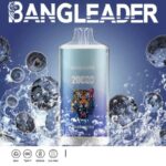 Bang Leader 20000 Züge Online Vape – Produktansicht 13
