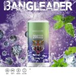Bang Leader 20000 Züge Online Vape – Produktansicht 12