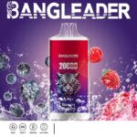 Bang Leader 20000 Züge Online Vape – Produktansicht 11