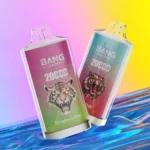 Bang Leader 20000 Züge Online Vape – Produktansicht 1