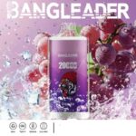 Bang Leader 20000 Züge Online Vape – Produktansicht 10