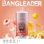 Bang Leader 20000 Züge Online Vape – Produktansicht 9
