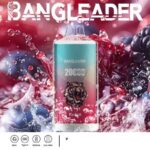 Bang Leader 20000 Züge Online Vape – Produktansicht 8