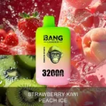 BANG LEADER 32000 Züge Dual Taste Einweg Vape Großhandel Posten – Produktansicht 11