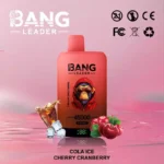 BANG LEADER 45000 Puffs Einweg Vape Dual Option Großhandel – Produktansicht 13