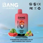 BANG LEADER 45000 Puffs Einweg Vape Dual Option Großhandel – Produktansicht 5