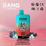 BANG LEADER 45000 Puffs Einweg Vape Dual Option Großhandel – Produktansicht 4