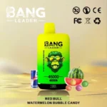 BANG LEADER 45000 Puffs Dual Option – Produktansicht 1