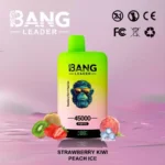 BANG LEADER 45000 Puffs Einweg Vape Dual Option Großhandel – Produktansicht 2
